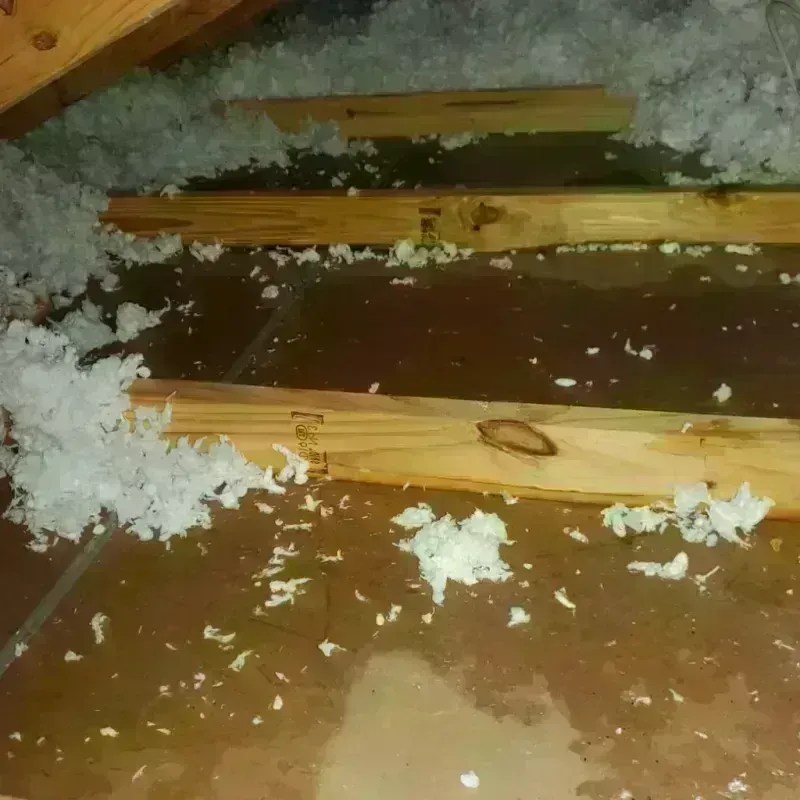 Attic Water Damage in Hide-A-Way Lake, MS